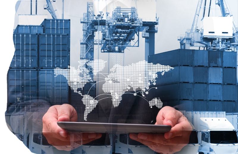 Hands holding a tablet over a container terminal